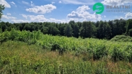 Prodej pozemku , ur�en� k v�stavb� RD, Hamr na Jeze�e (okres �esk� L�pa)