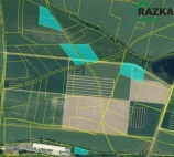 Prodej pozemku , zem�d�lsk� p�da, Hora��ovice (okres Klatovy)
