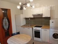 Pron�jem bytu 2+kk, 0 m2, OV, ���krajice, Bor��kov (okres �esk� Bud�jovice)