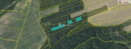 Prodej pozemku , les, Plasy, �ebnice (okres Plze�-sever)
