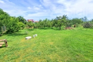 Prodej pozemku , ur�en� k v�stavb� RD, �ejkovice (okres Znojmo)