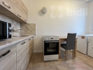 Pron�jem bytu 1+1, 32 m2, OV, Brno, Lesn� (okres Brno-m�sto), ul. Halasovo n�m�st�