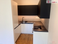 Pron�jem bytu 2+kk, 35 m2, OV, Dub�any (okres Hodon�n), ul. Hornick�