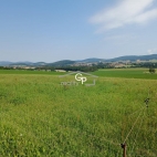 Prodej pozemku , zem�d�lsk� p�da, Holubov, Kraset�n (okres �esk� Krumlov)