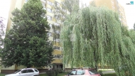 Prodej bytu 4+1, 68 m2, OV, Ostrava, Hrab�vka (okres Ostrava-m�sto), ul. Alberta Ku�ery