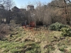 IMG_2663.jpeg