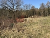 IMG_2665.jpeg