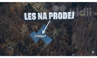 Prodej pozemku , les, Tanvald, Šumburk nad Desnou (okres Jablonec nad Nisou) - exkluzivně