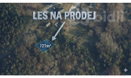 Prodej pozemku , les, Tanvald, Šumburk nad Desnou (okres Jablonec nad Nisou) - exkluzivně