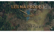 Prodej pozemku , les, Tanvald, Šumburk nad Desnou (okres Jablonec nad Nisou) - exkluzivně