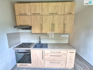 Pron�jem bytu 2+1, 54 m2, OV, A� (okres Cheb), ul. Palack�ho
