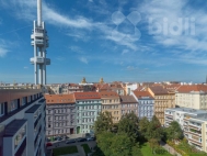 Pron�jem bytu 1+kk, 21 m2, OV, Praha 3, �i�kov, ul. Bo�ivojova