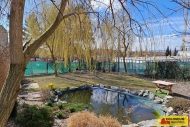 Prodej pozemku , ur�en� pro komer�n� v�stavbu, Brno (okres Brno-m�sto)