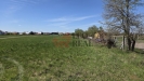 20260422_144849.jpg