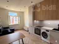 Pron�jem bytu 2+kk, 50 m2, OV, Praha 3, �i�kov, ul. Bo�ivojova