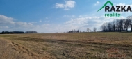 Prodej pozemku , zem�d�lsk� p�da, Ctibo�, B�ez� (okres Tachov)