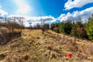 Prodej pozemku , ur�en� k v�stavb� RD, �ep�n, �ivon�n (okres M�ln�k)