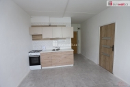 Pron�jem bytu 1+1, 36 m2, OV, Cheb, ul. Dvo��kova