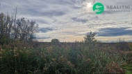 Prodej pozemku , zem�d�lsk� p�da, Dub�any (okres Hodon�n)