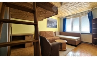 Prodej bytu 2+1, 52 m2, OV, Chomutov, ul. Borov� - exkluzivn�