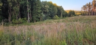 Prodej pozemku , trval� travn� porost, �eb��ov (okres T�bor)