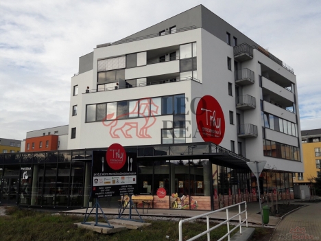 20190117_113315.jpg
