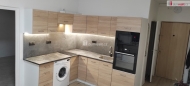 Pron�jem bytu 1+1, 36 m2, DV, Krupka, Mar�ov (okres Teplice), ul. �e��kov�