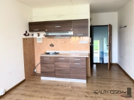 Pron�jem bytu 1+kk, 20 m2, OV, Chodov (okres Sokolov), ul. �apkova