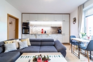 Pron�jem bytu 2+kk, 48 m2, OV, Hostivice (okres Praha-z�pad), ul. P�eni�n�
