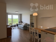 Pron�jem bytu 2+kk, 60 m2, OV, Horom��ice (okres Praha-z�pad), ul. Velvarsk�