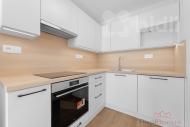 Pron�jem bytu 2+kk, 53 m2, OV, Kladno, Kro�ehlavy, ul. Americk� - exkluzivn�