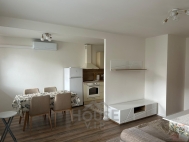 Pron�jem bytu 3+kk, 74 m2, OV, Praha 4, Chodov, ul. L�skova