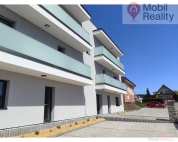 Prodej bytu 3+kk, 65 m2, OV, Hol��ov (okres Plze�-jih)