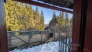 PXL_20260227_083834075.jpg