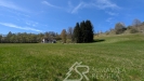 PXL_20260427_104245347.jpg