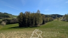 PXL_20260427_103454705.jpg