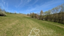 PXL_20260427_103755280.jpg