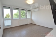 Pron�jem bytu 2+kk, 47 m2, OV, Praha 8, Karl�n, ul. Nekvasilova
