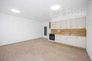 Pron�jem bytu 2+kk, 62 m2, OV, �amberk (okres �st� nad Orlic�), ul. Divi�ova
