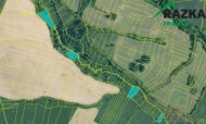 Prodej pozemku , zem�d�lsk� p�da, Hrade�ice, Smrkovec (okres Klatovy)