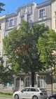 Pron�jem bytu 1+kk, 43 m2, OV, Praha 10, Vr�ovice, ul. 28. pluku
