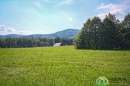 Prodej pozemku , ur�en� k v�stavb� RD, �ern� Voda (okres Jesen�k)