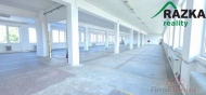 Pron�jem komer�n�ho objektu : Obchodn� centrum, Tachov