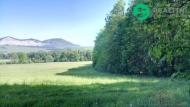 Prodej pozemku 15 096 m2, les, �enklava (okres Nov� Ji��n)