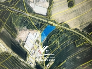 Prodej pozemku , zem�d�lsk� p�da, Markvartovice (okres Opava)