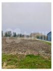 Prodej pozemku , zem�d�lsk� p�da, �t�tina (okres Opava)