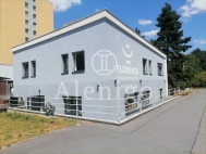 Pron�jem obchodn�ch prostor, 
