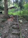 IMG_5828.jpeg