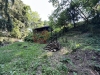 IMG_5831.jpeg