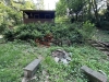 IMG_5833.jpeg